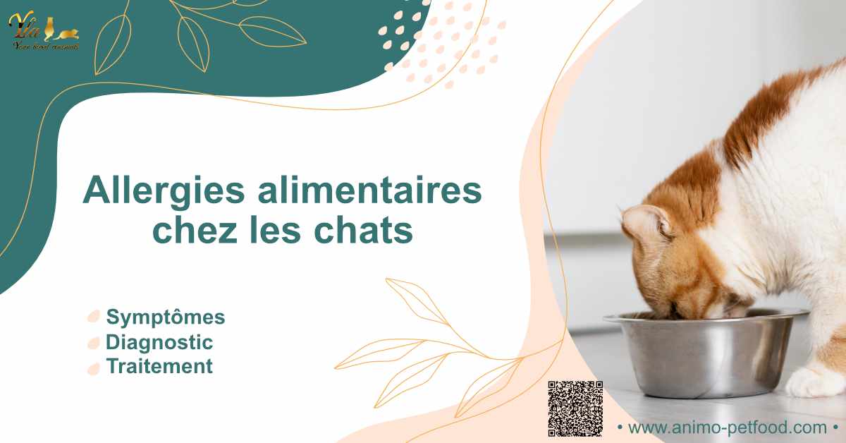 allergies-alimentaires-chez-les-chats-symptomes-diagnostic-et-traitement